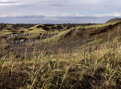 rofabörð á Norðurlandi