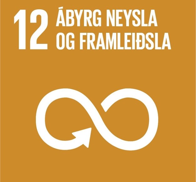 Heimsmarkmið 12 - Ábyrg neysla og framleiðsla